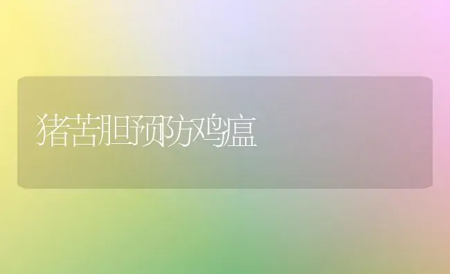 猪苦胆预防鸡瘟 | 家畜养殖