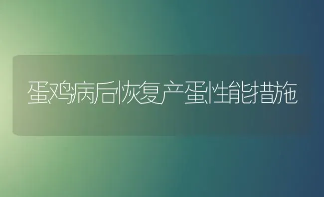 蛋鸡病后恢复产蛋性能措施 | 家禽养殖