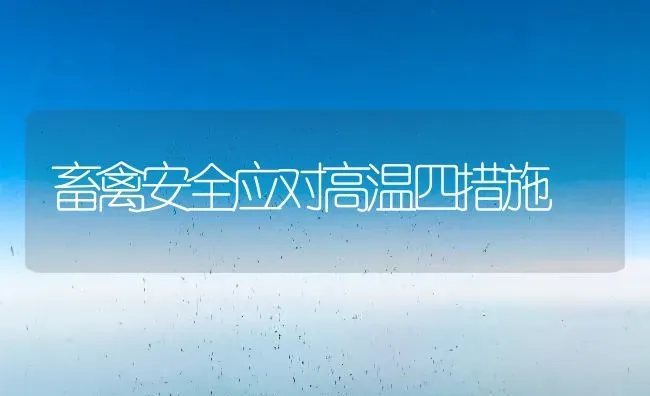 畜禽安全应对高温四措施 | 家禽养殖