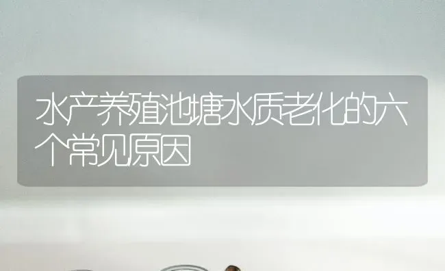 水产养殖池塘水质老化的六个常见原因 | 动物养殖百科