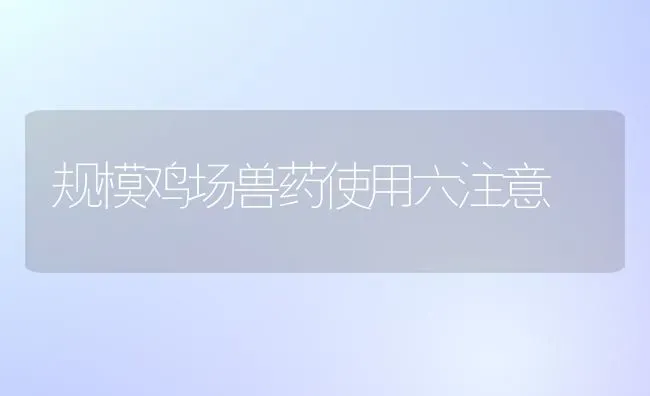 规模鸡场兽药使用六注意 | 养殖病虫害防治