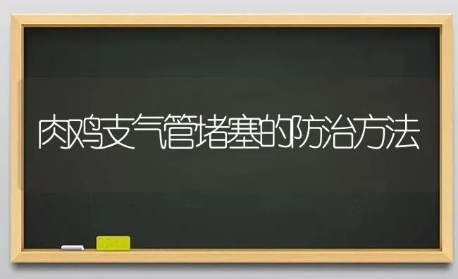 肉鸡支气管堵塞的防治方法 | 家禽养殖