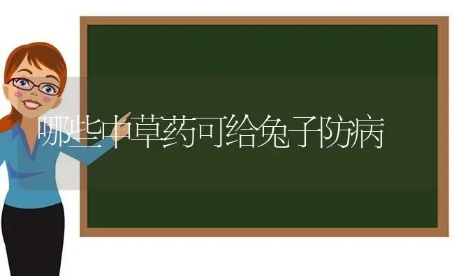 哪些中草药可给兔子防病 | 养殖病虫害防治