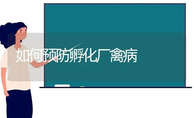 如何预防孵化厂禽病 | 家禽养殖