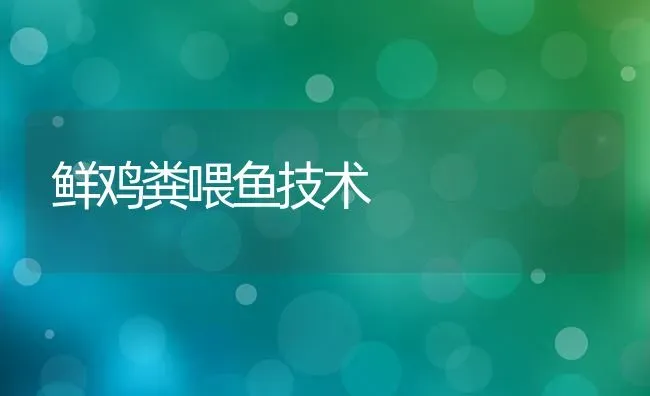 鲜鸡粪喂鱼技术 | 家禽养殖
