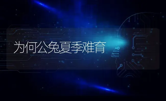 为何公兔夏季难育 | 家畜养殖