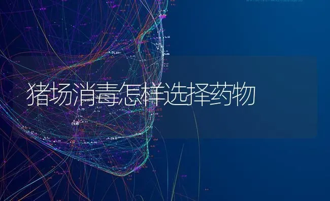 猪场消毒怎样选择药物 | 养殖病虫害防治