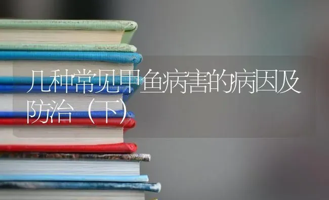 几种常见甲鱼病害的病因及防治（下） | 淡水养殖