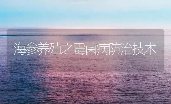 海参养殖之霉菌病防治技术 | 海水养殖