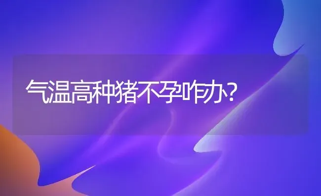 气温高种猪不孕咋办？ | 家畜养殖