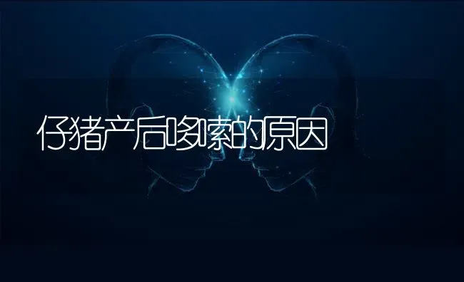 仔猪产后哆嗦的原因 | 家畜养殖