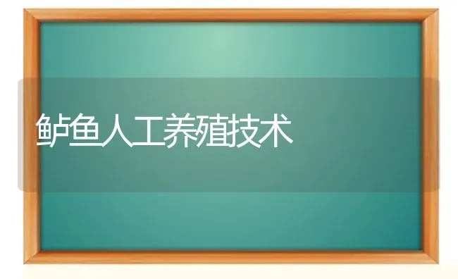 鲈鱼人工养殖技术 | 淡水养殖