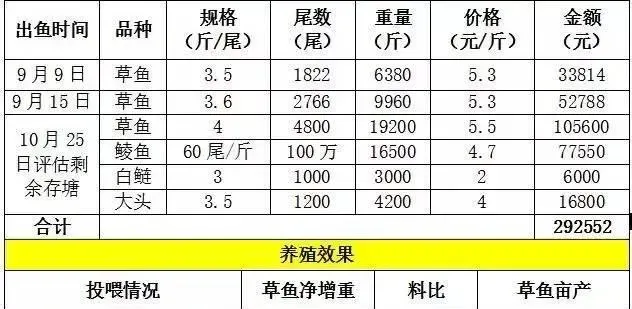 明年的草鱼要这样养：大草鱼提高密度，中途出鱼