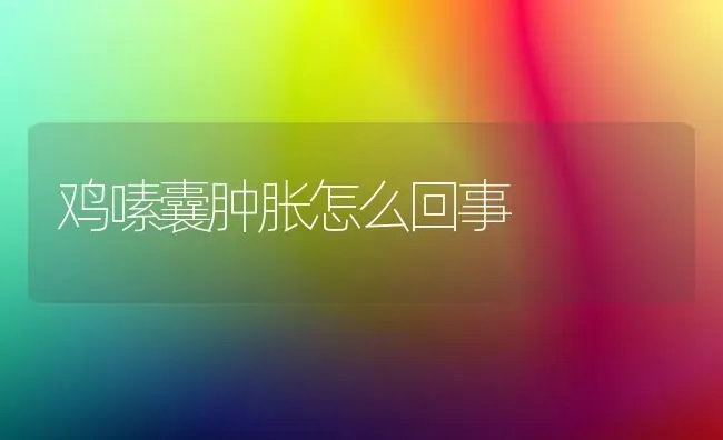 鸡嗉囊肿胀怎么回事 | 家禽养殖