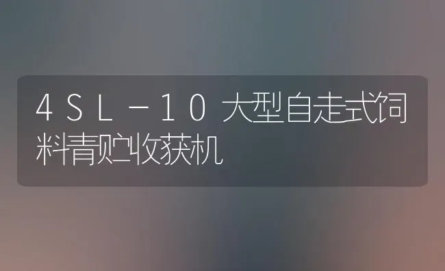 4SL-10大型自走式饲料青贮收获机 | 动物养殖饲料