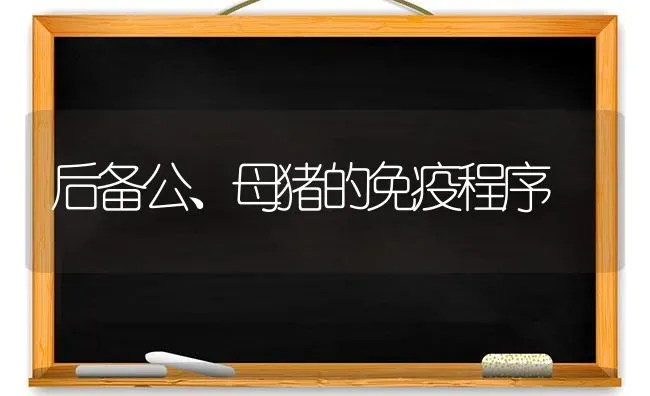 后备公、母猪的免疫程序 | 家畜养殖