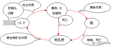 浅谈大水面水产养殖的几个误区及对策