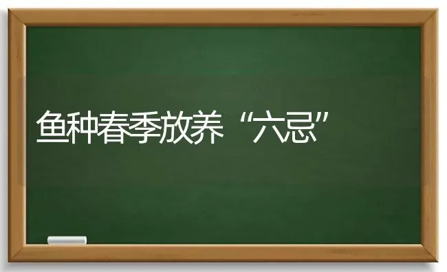 鱼种春季放养“六忌” | 淡水养殖