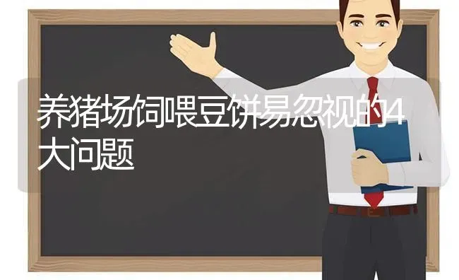 养猪场饲喂豆饼易忽视的4大问题 | 家畜养殖