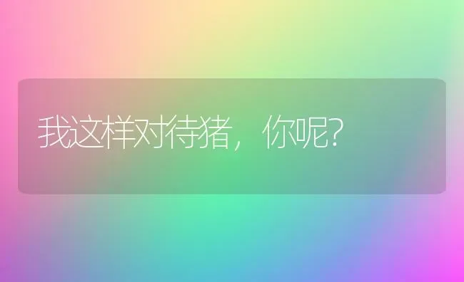 我这样对待猪，你呢？ | 家畜养殖