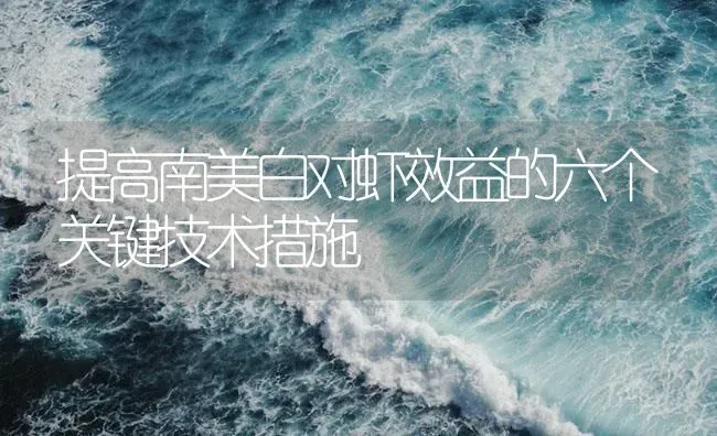 提高南美白对虾效益的六个关键技术措施 | 海水养殖
