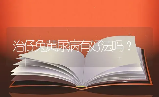 治仔兔黄尿病有好法吗？ | 家畜养殖