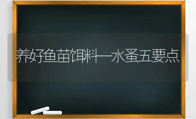 养好鱼苗饵料—水蚤五要点 | 淡水养殖