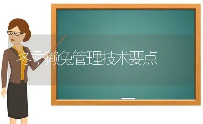 冬季獭兔管理技术要点 | 家畜养殖