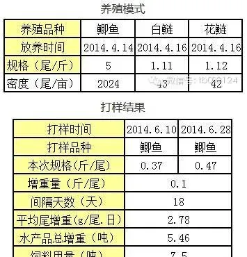 苏北地区高密度精养鲫鱼的饲料选择