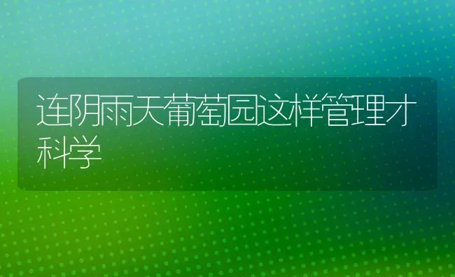 春季鱼病防治三要点 | 淡水养殖