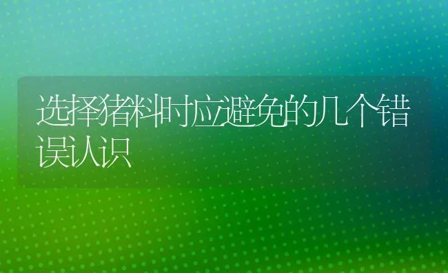 选择猪料时应避免的几个错误认识 | 家畜养殖