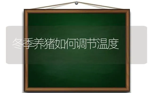 冬季养猪如何调节温度 | 家畜养殖
