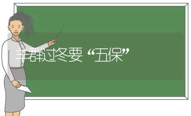 羊群过冬要“五保” | 家畜养殖