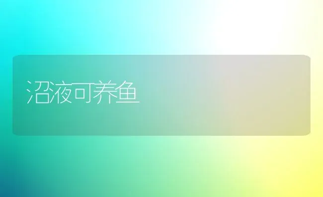 沼液可养鱼 | 淡水养殖