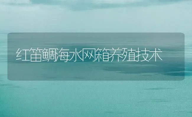 红笛鲷海水网箱养殖技术 | 海水养殖