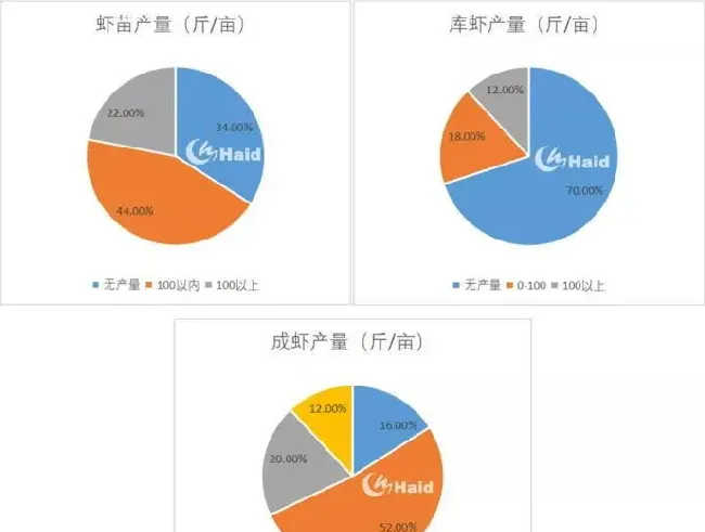 龙虾养殖转型，才是赚钱之道！