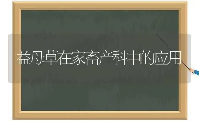 益母草在家畜产科中的应用 | 家畜养殖