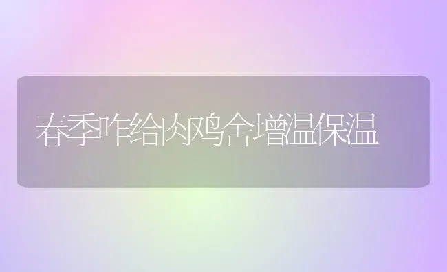 春季咋给肉鸡舍增温保温 | 家禽养殖