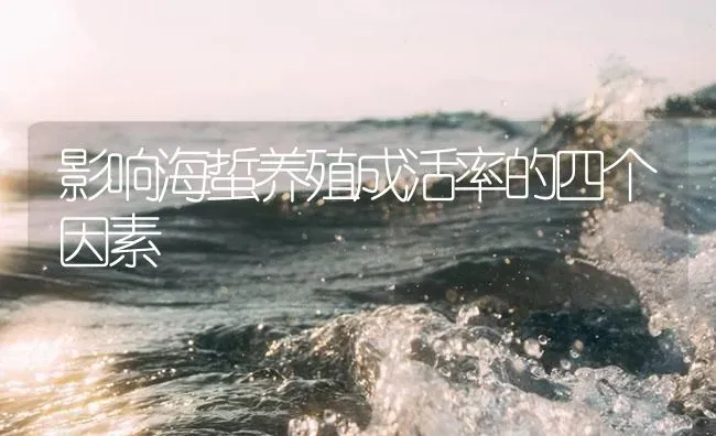 影响海蜇养殖成活率的四个因素 | 海水养殖