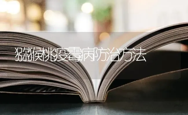 冷空气“冻”真格 畜禽越冬有高招 | 家禽养殖