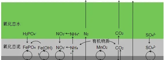 再谈池塘养殖改底之重要性