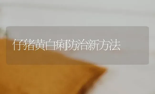 仔猪黄白痢防治新方法 | 家畜养殖