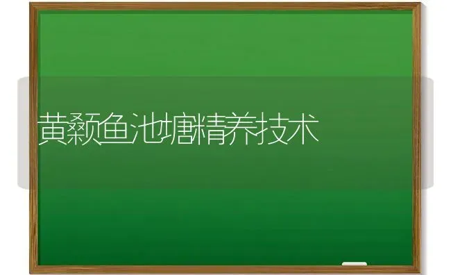 黄颡鱼池塘精养技术 | 淡水养殖