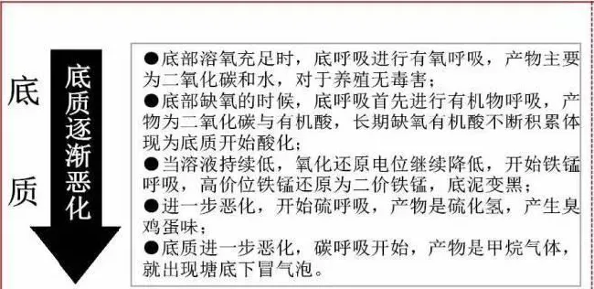 增氧片，不只是增氧！很多水产养殖户都不知道！