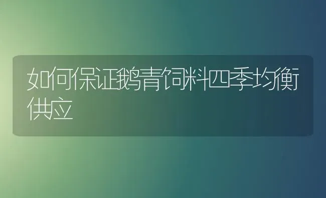 如何保证鹅青饲料四季均衡供应 | 家禽养殖