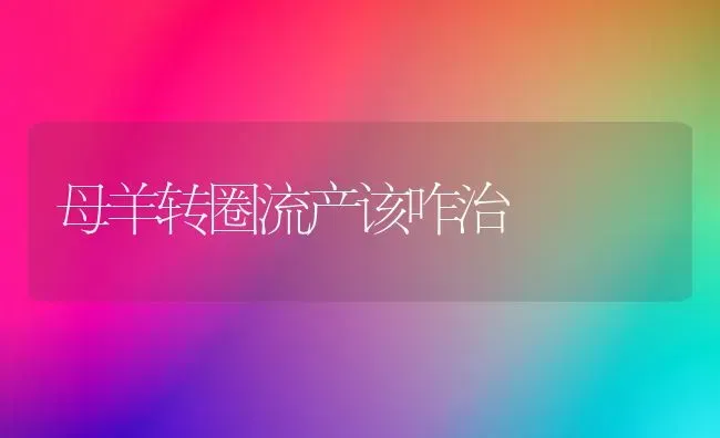 母羊转圈流产该咋治 | 家畜养殖