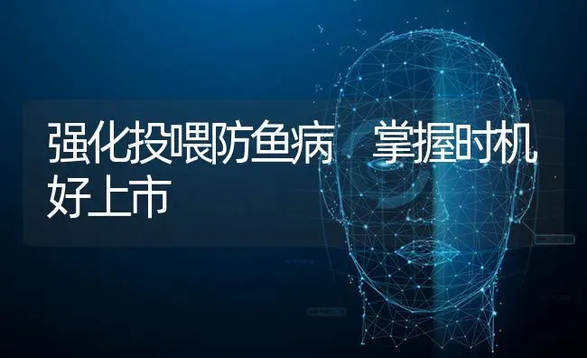 强化投喂防鱼病 掌握时机好上市 | 淡水养殖