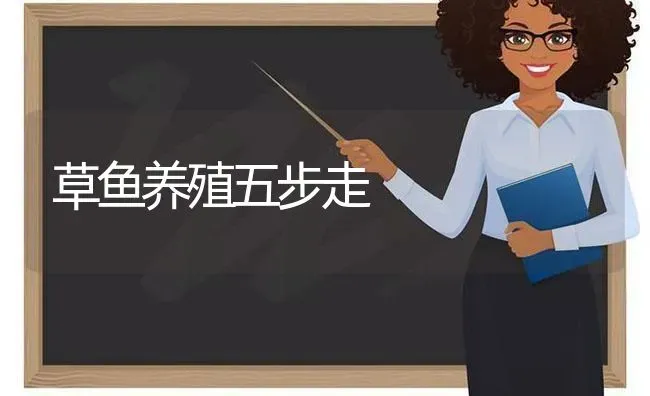 草鱼养殖五步走 | 淡水养殖