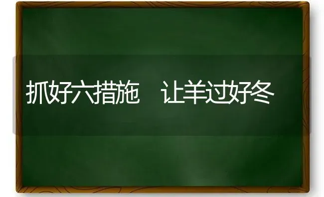 抓好六措施 让羊过好冬 | 家畜养殖