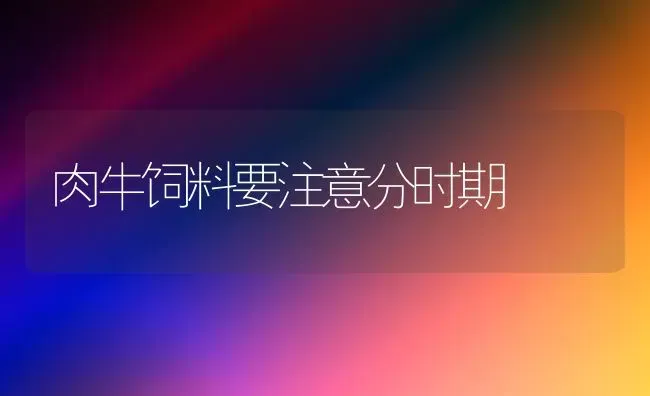 肉牛饲料要注意分时期 | 动物养殖饲料